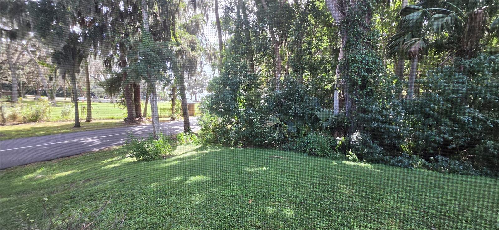 VIEW FROM PORCH