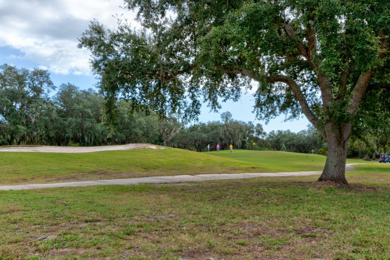3113 BAILEY ANN DRIVE, Ormond Beach, FL 32174