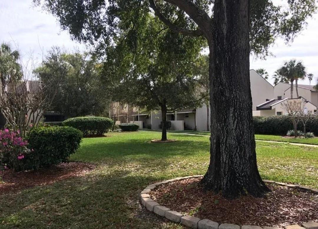 100 E KENTUCKY AVE, #103D, Deland, FL 32724