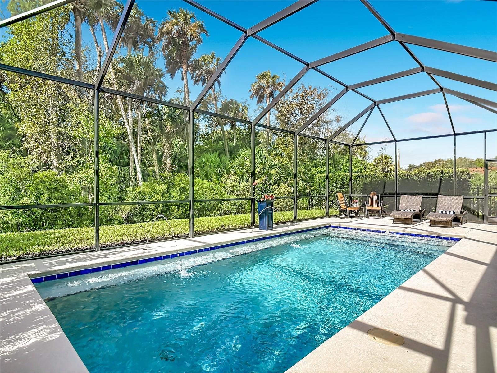 Pool with waterfalls and Conservation View