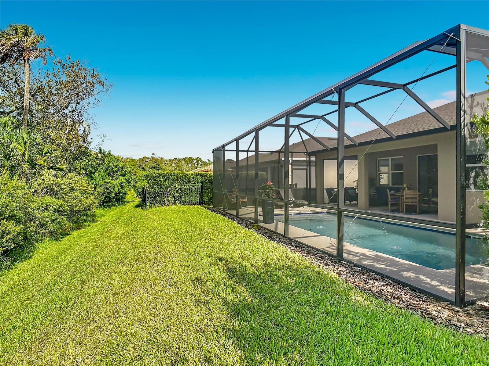 back yard