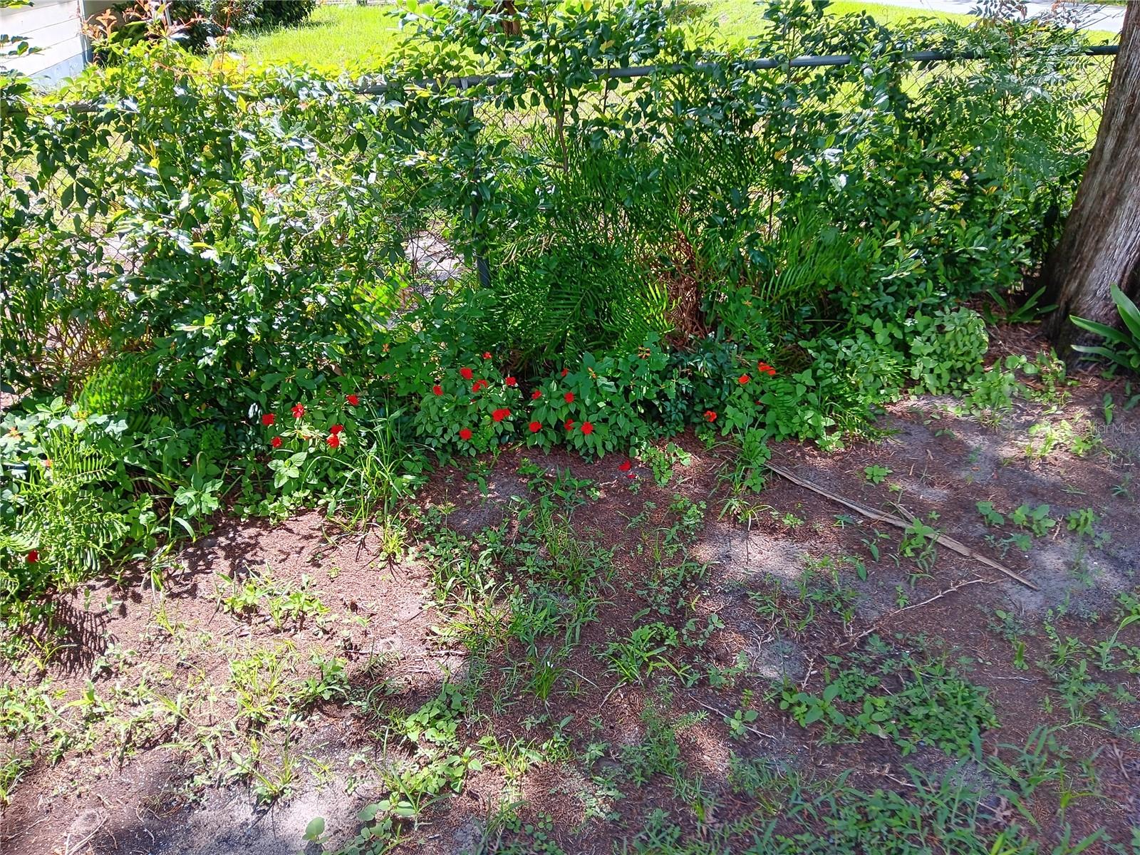 1440 SE 23RD AVENUE, Gainesville, FL 32641