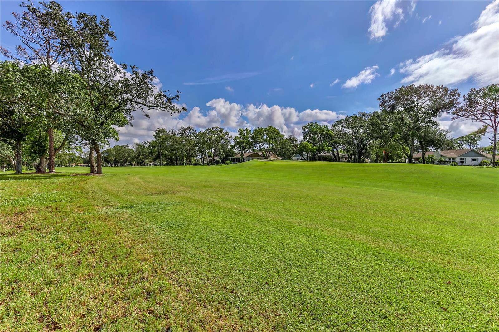 2376 BENT PINE COURT, Spring Hill, FL 34606