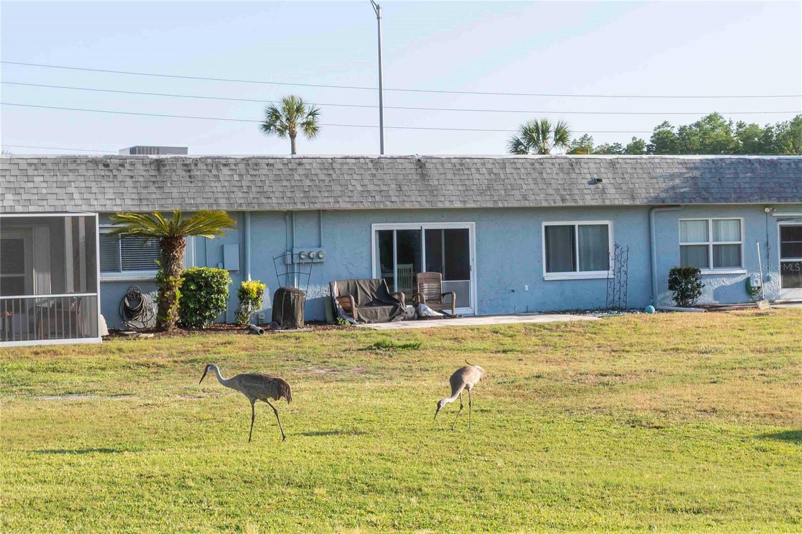 9639 GREENSKEEPER DRIVE, #9639, New Port Richey, FL 34655