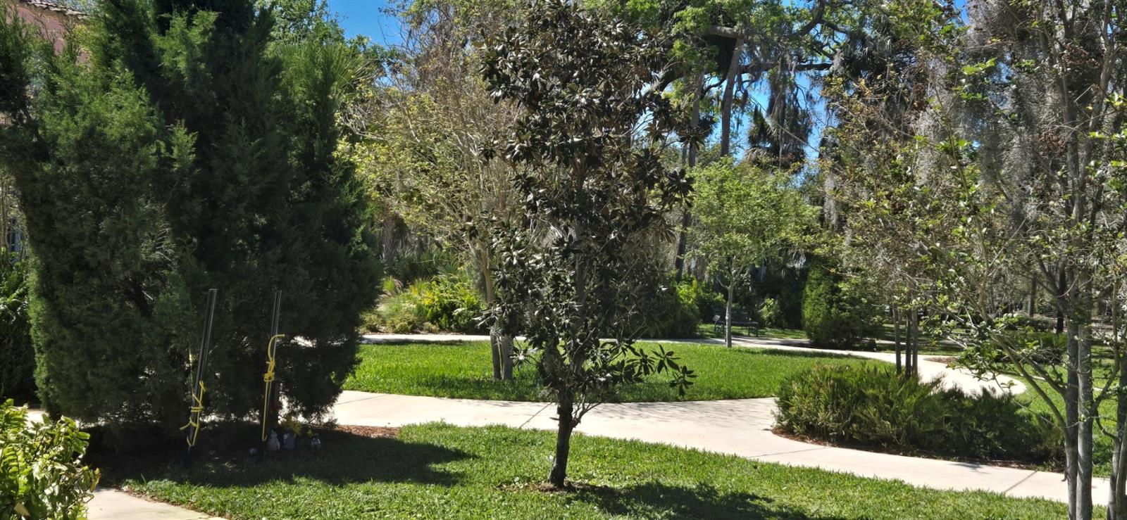 5904 ELM STREET, New Port Richey, FL 34652
