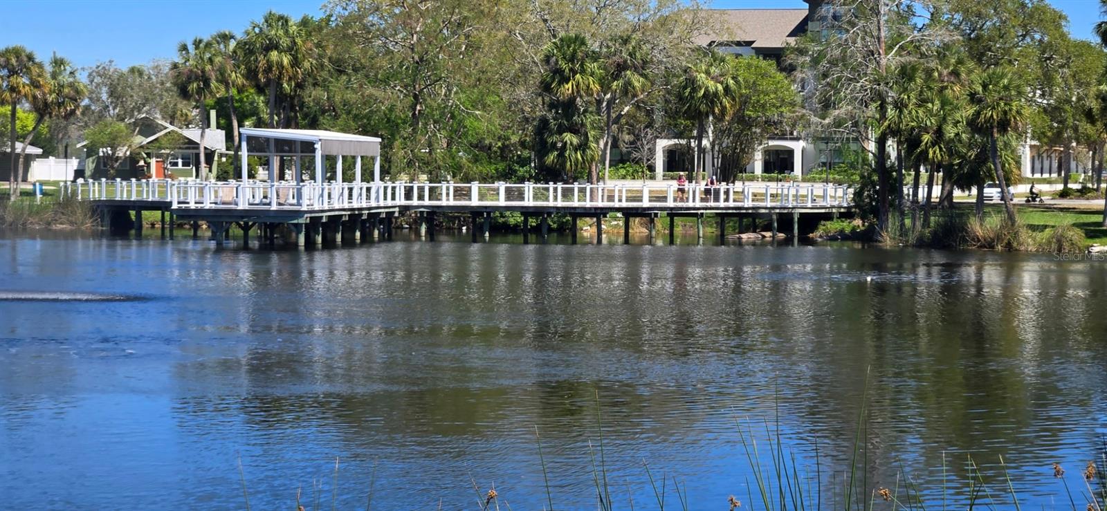 5904 ELM STREET, New Port Richey, FL 34652