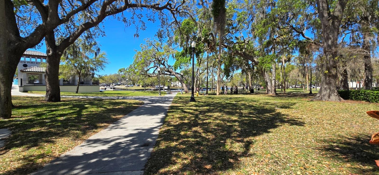 5904 ELM STREET, New Port Richey, FL 34652