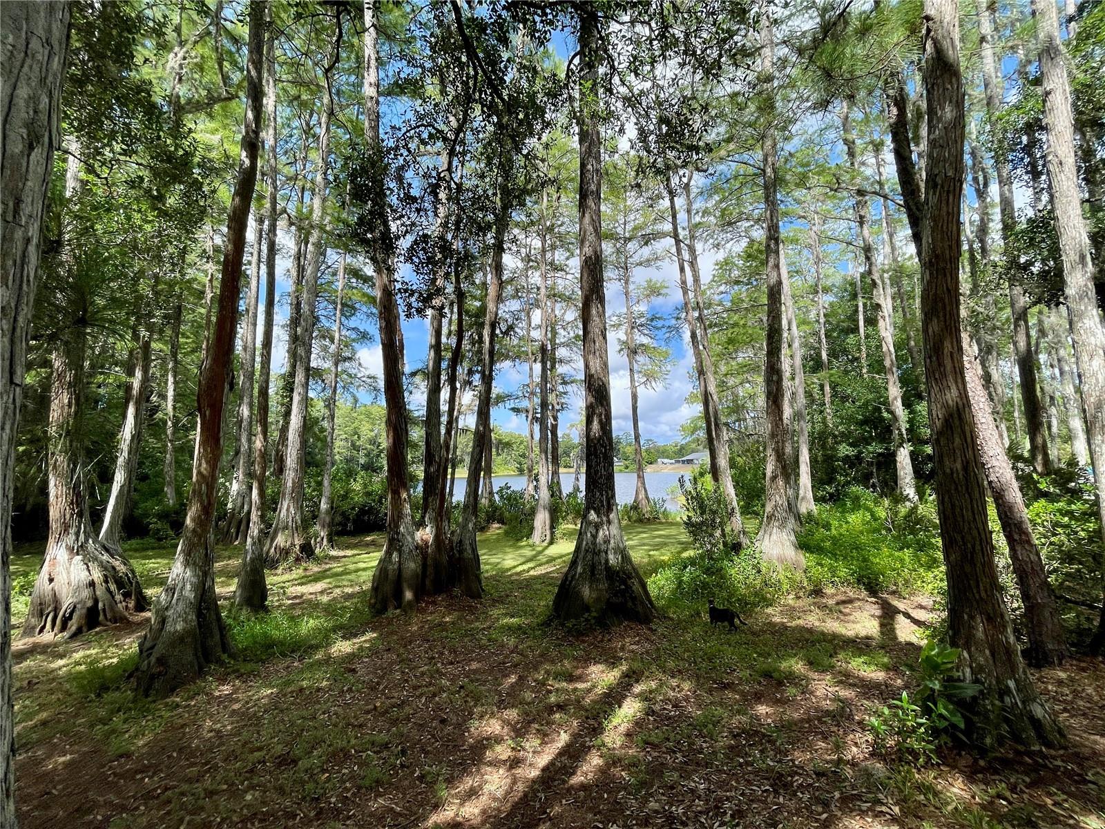 8270 SYCAMORE DRIVE, New Port Richey, FL 34654