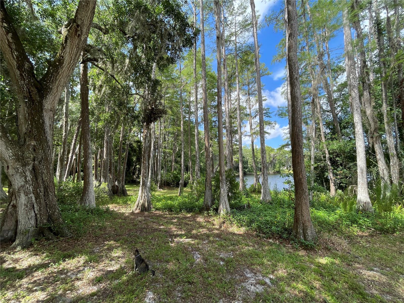 8270 SYCAMORE DRIVE, New Port Richey, FL 34654