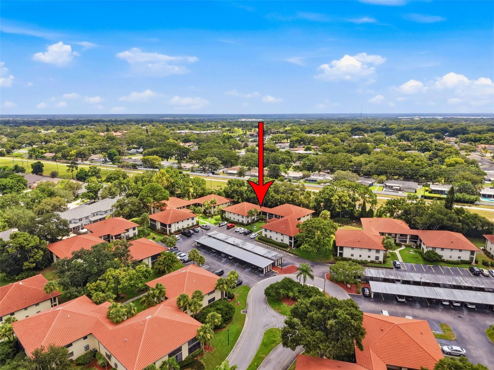1309 HAMMOCK PINE BOULEVARD, #1309, Clearwater, FL 33761