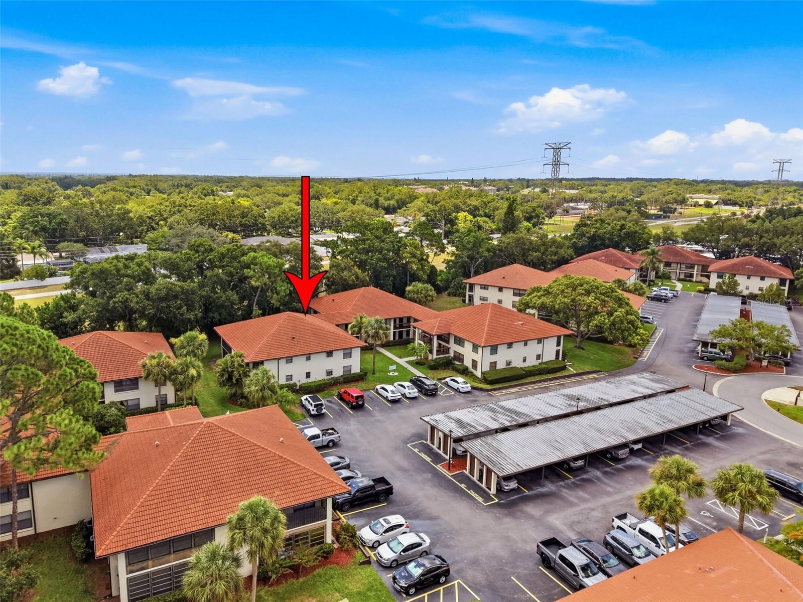 1309 HAMMOCK PINE BOULEVARD, #1309, Clearwater, FL 33761