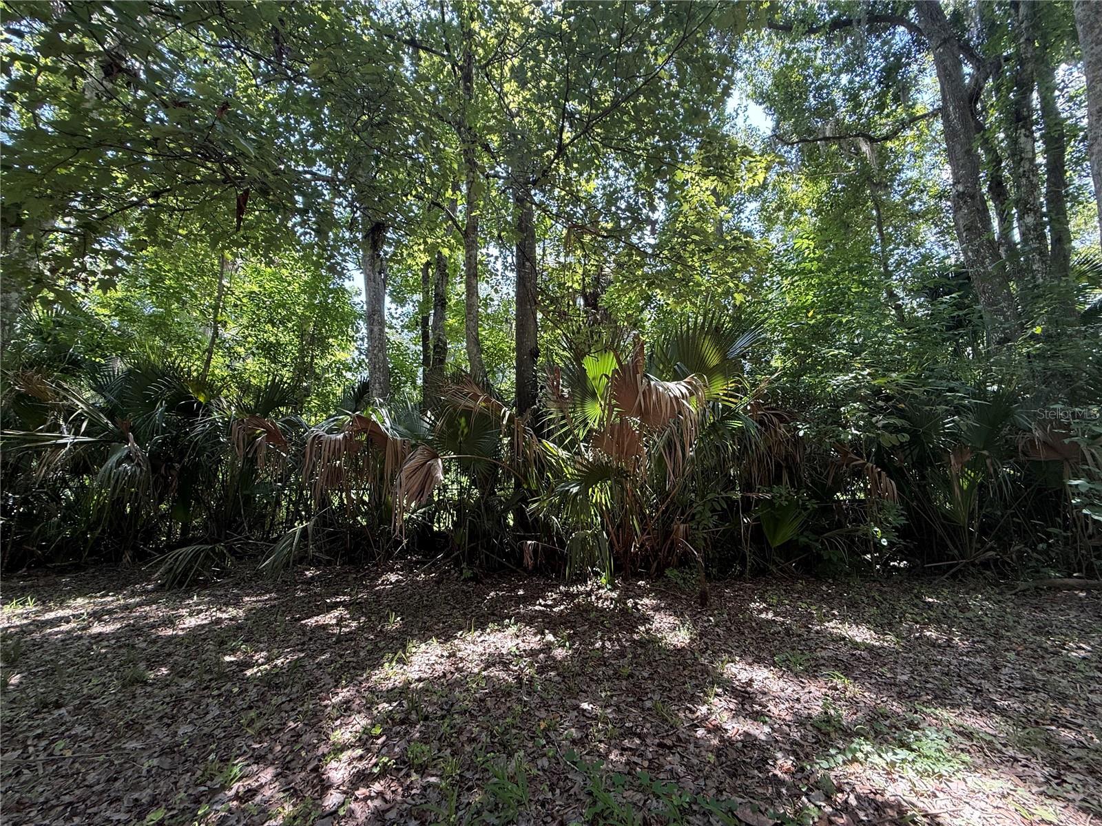 23946 INDIGO ROAD, Astor, FL 32102