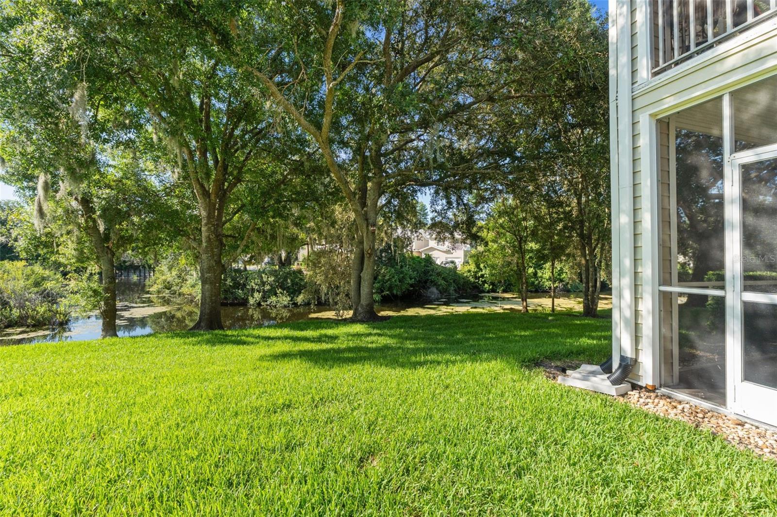 1920 HAMMOCKS AVENUE, #1002, Lutz, FL 33549 1920 HAMMOCKS AVENUE, #1002, Lutz, FL 33549