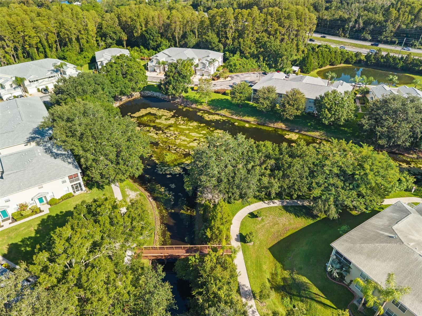 1920 HAMMOCKS AVENUE, #1002, Lutz, FL 33549
