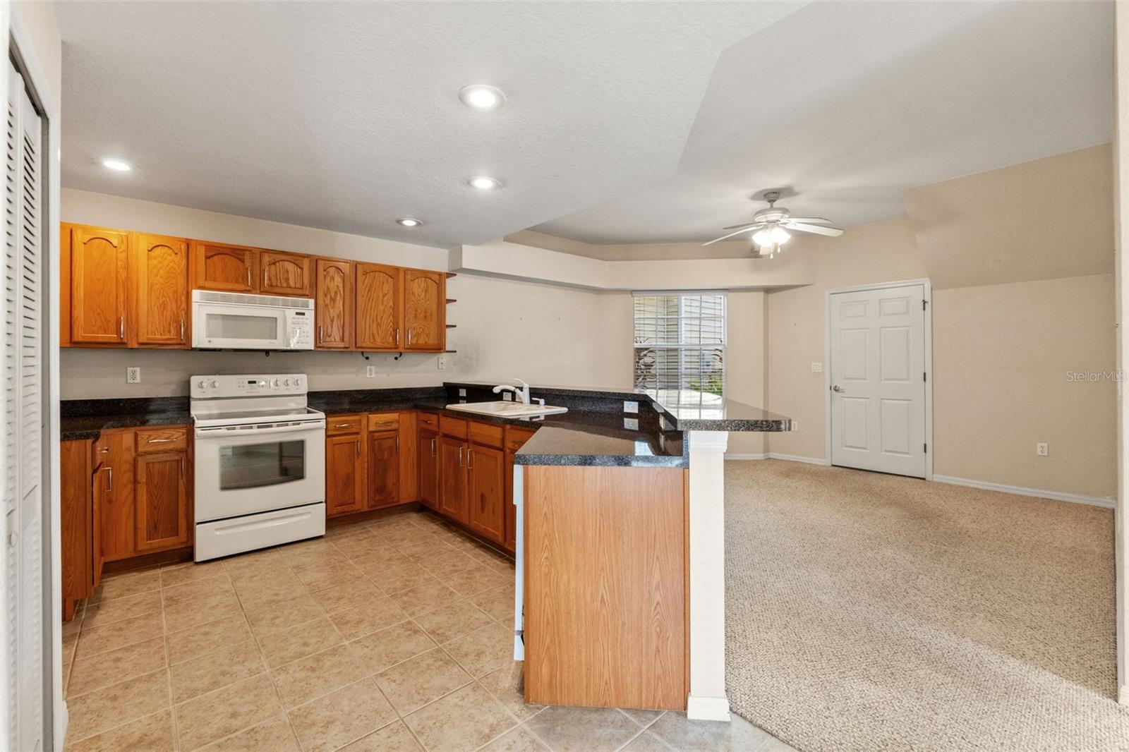 1920 HAMMOCKS AVENUE, #1002, Lutz, FL 33549 1920 HAMMOCKS AVENUE, #1002, Lutz, FL 33549