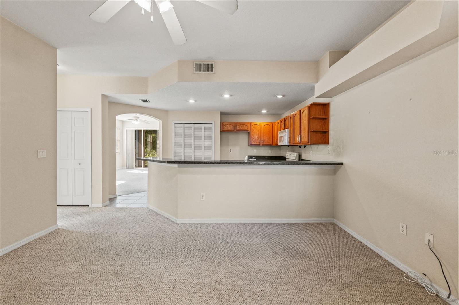 1920 HAMMOCKS AVENUE, #1002, Lutz, FL 33549