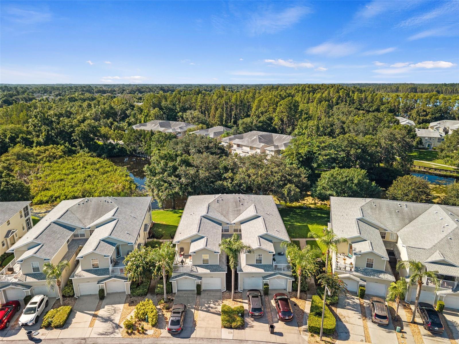 1920 HAMMOCKS AVENUE, #1002, Lutz, FL 33549