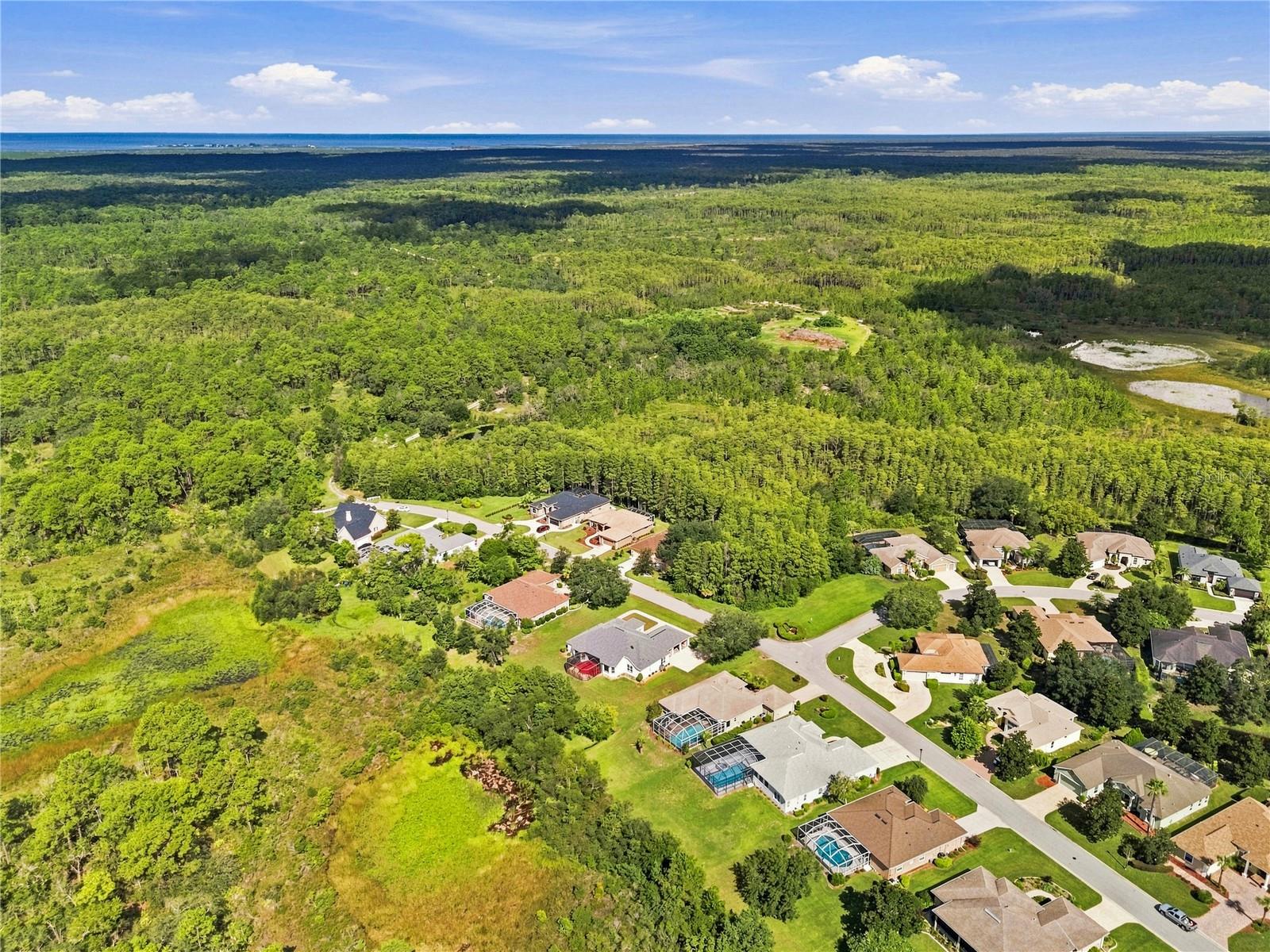8698 MISSISSIPPI RUN, Weeki Wachee, FL 34613