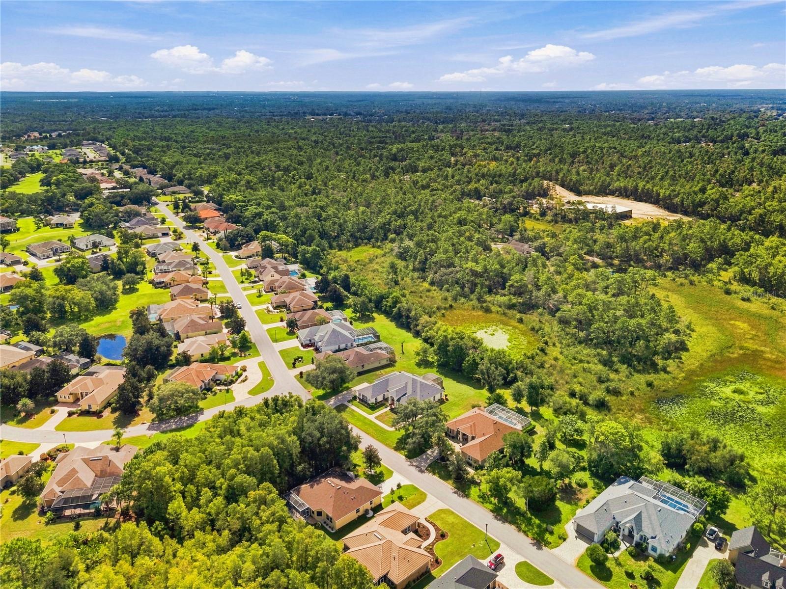 8698 MISSISSIPPI RUN, Weeki Wachee, FL 34613