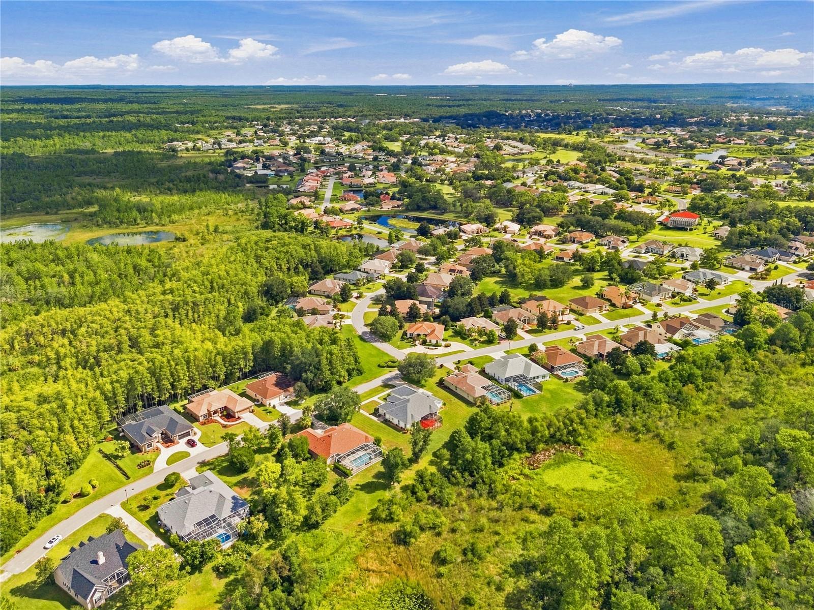 8698 MISSISSIPPI RUN, Weeki Wachee, FL 34613