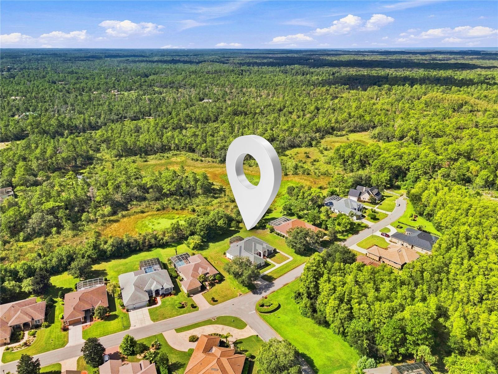 8698 MISSISSIPPI RUN, Weeki Wachee, FL 34613