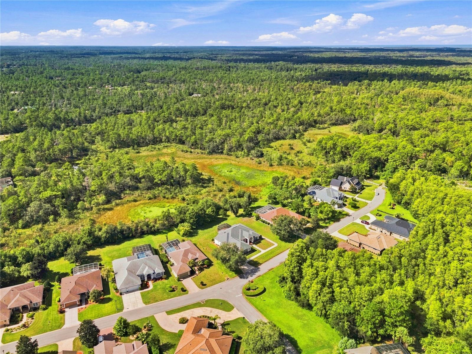 8698 MISSISSIPPI RUN, Weeki Wachee, FL 34613