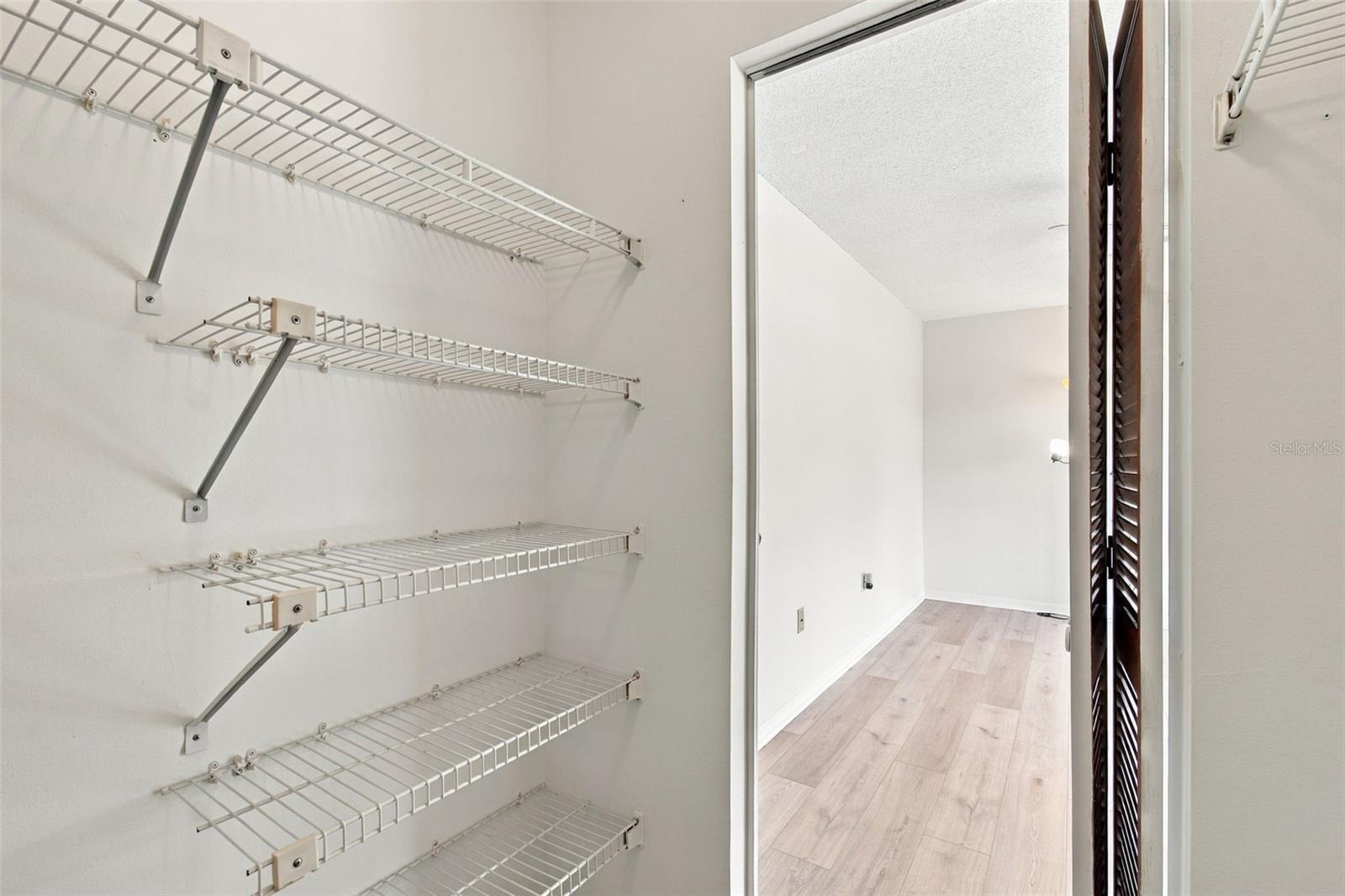 BR 2 Walk-In Closet