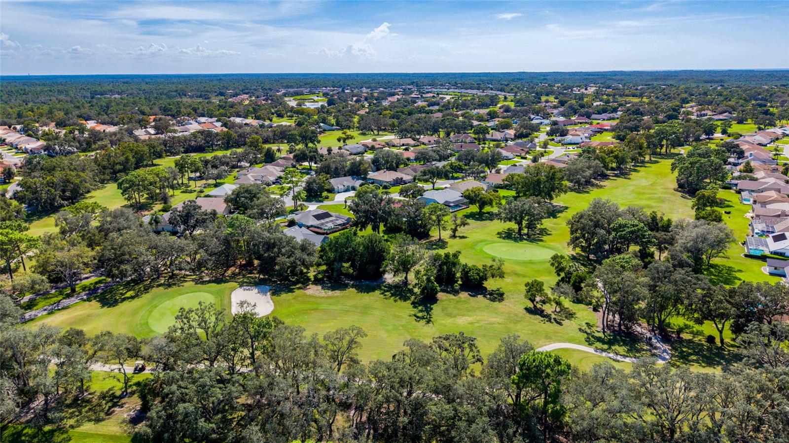 10143 DUFFY CIRCLE, Weeki Wachee, FL 34613