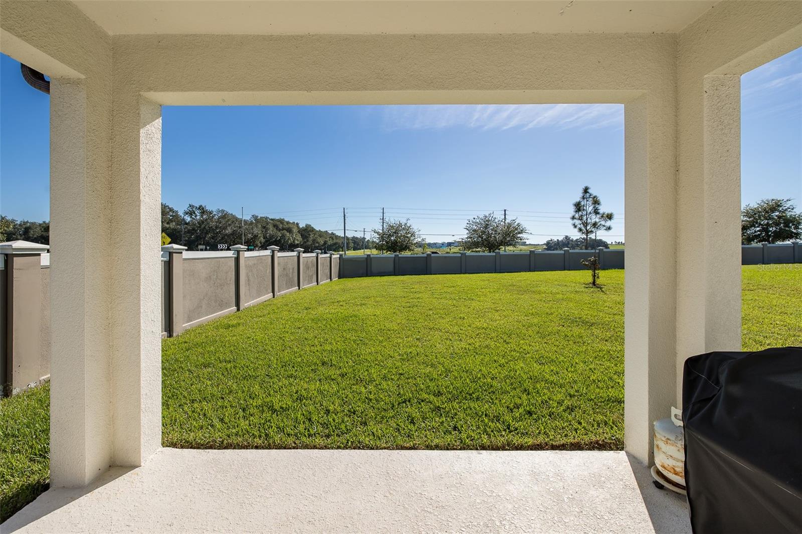 9224 RALLY SPRING LOOP, Wesley Chapel, FL 33545