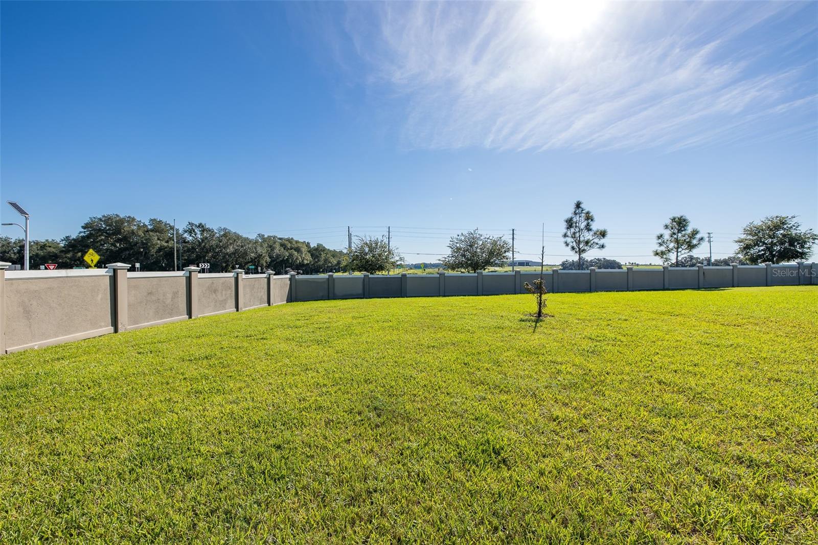 9224 RALLY SPRING LOOP, Wesley Chapel, FL 33545