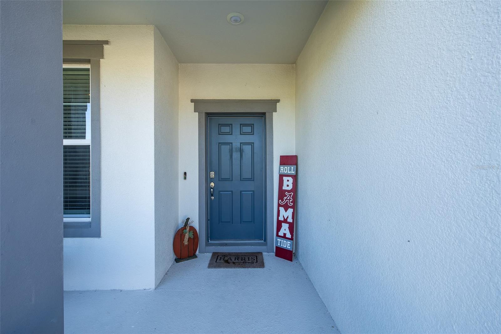 9224 RALLY SPRING LOOP, Wesley Chapel, FL 33545