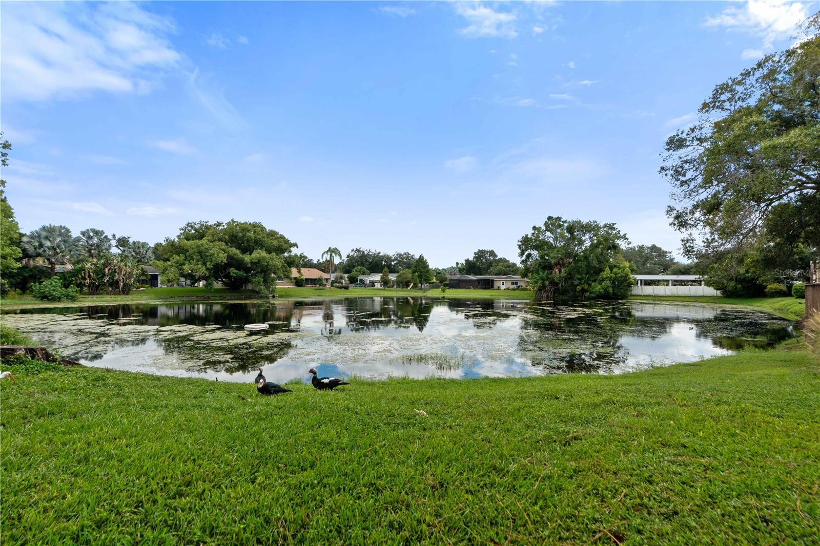 10455 CARROLLBROOK COURT, #114, Tampa, FL 33618