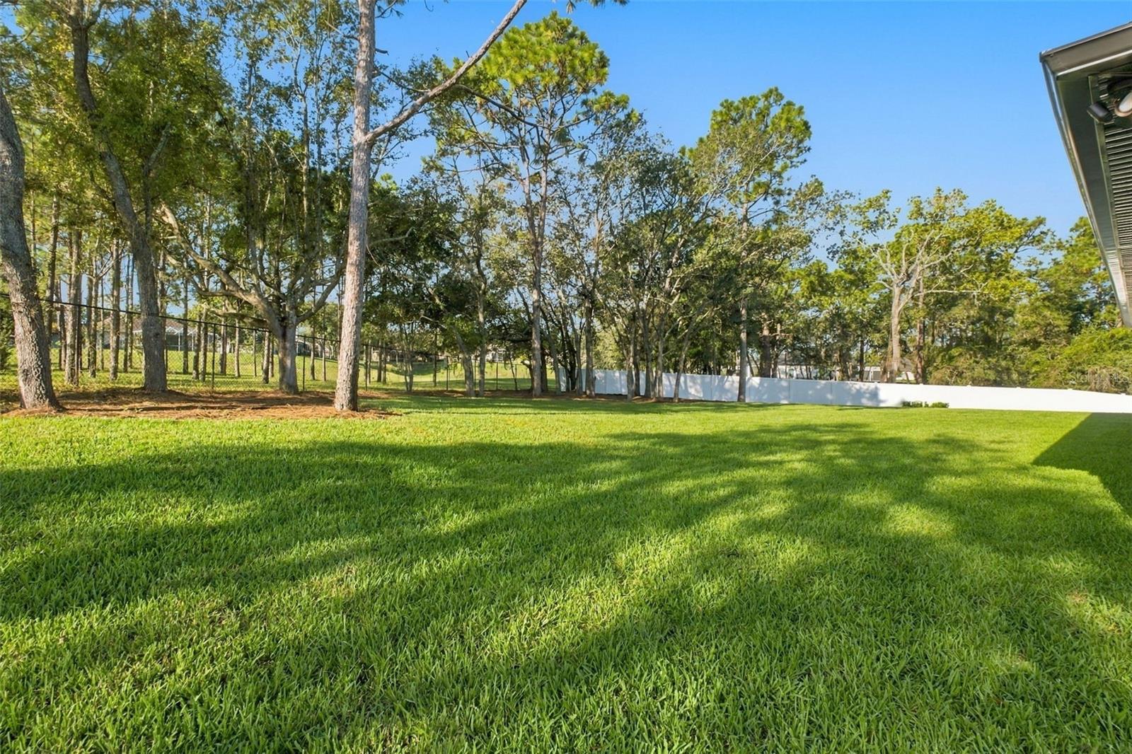 huge fenced yard