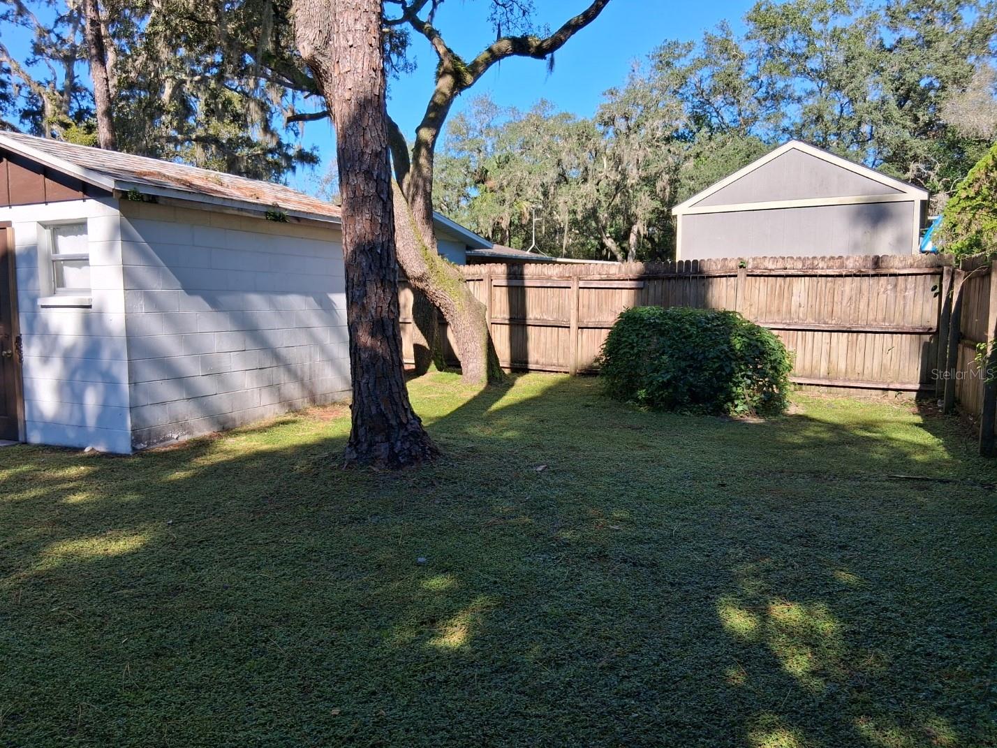 Shady rear yard