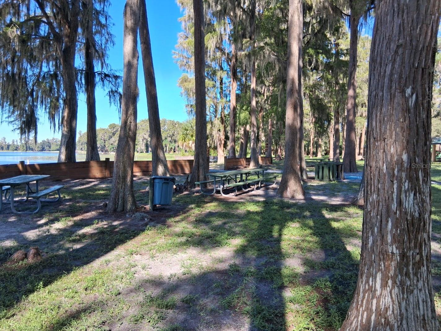 Park picnic area