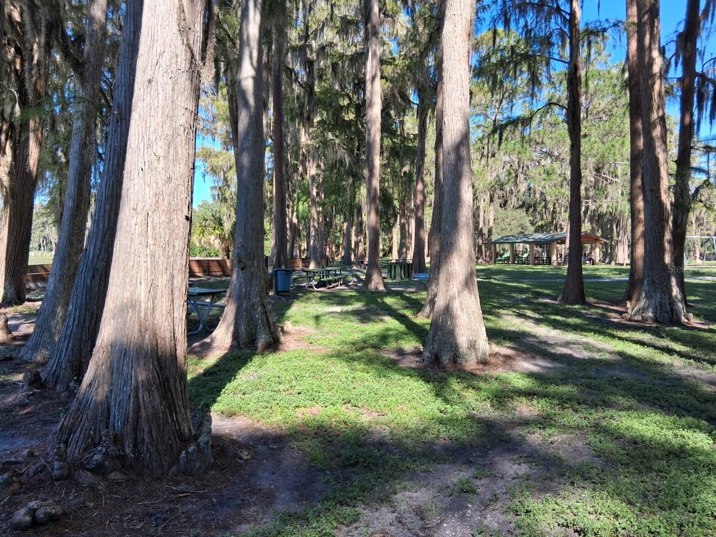 Park picnic area