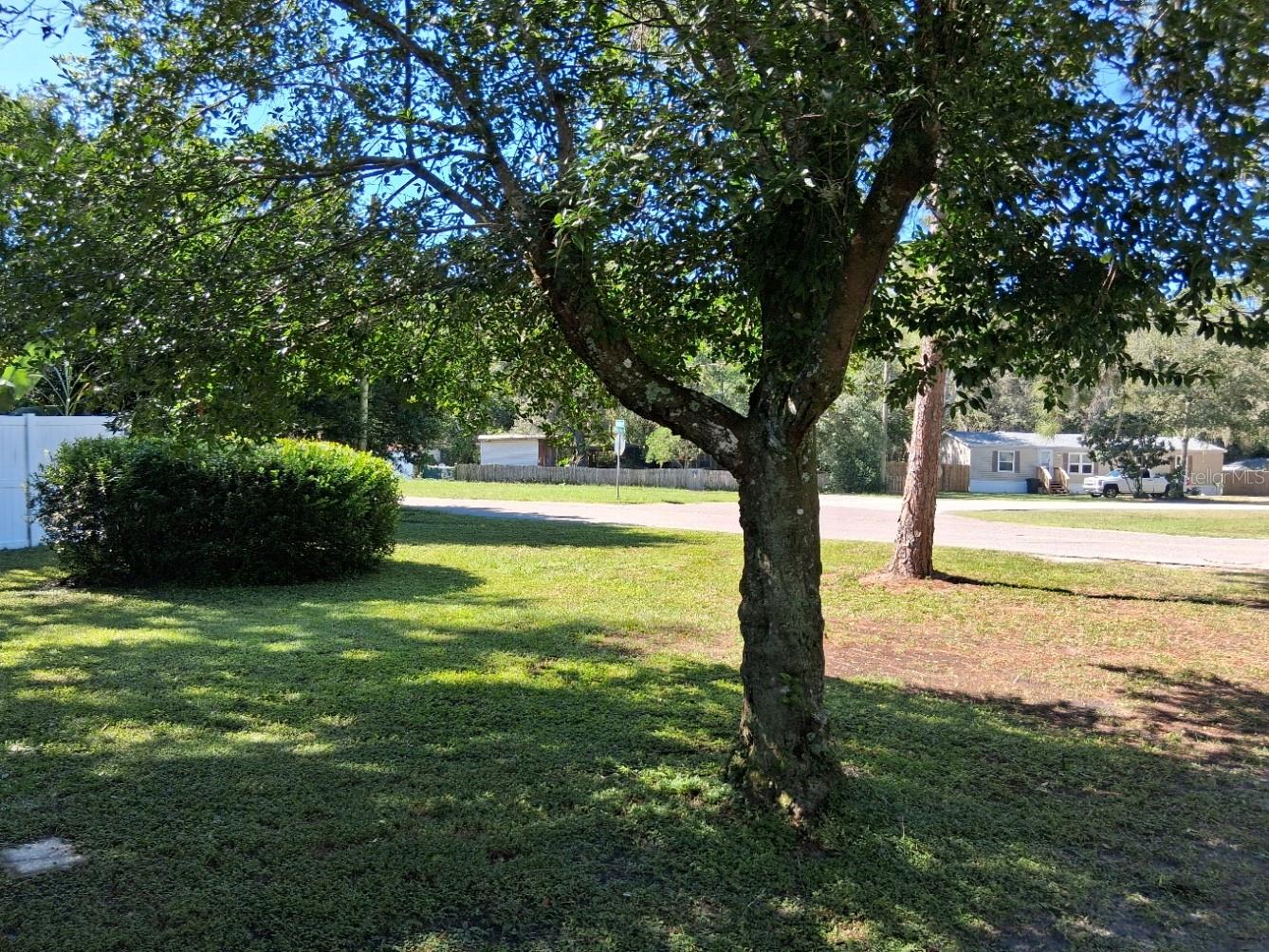 Front yard Front yard