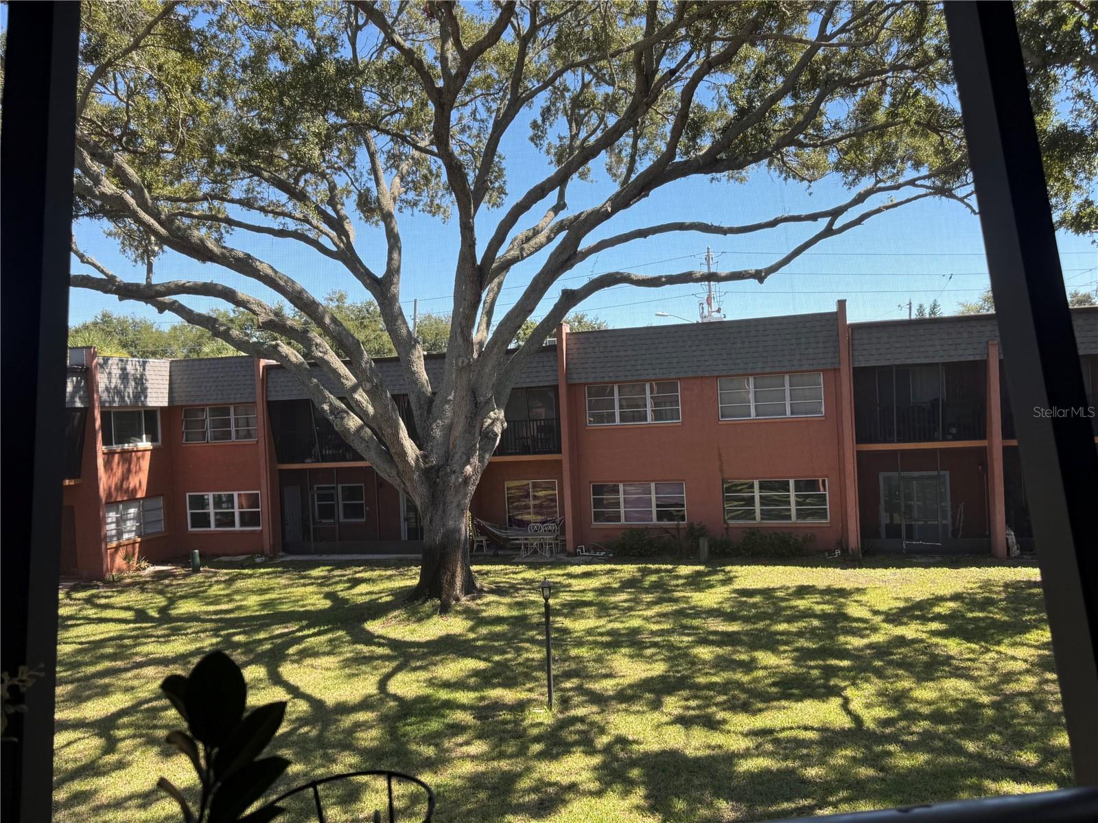 4805 ALT 19, #422, Palm Harbor, FL 34683