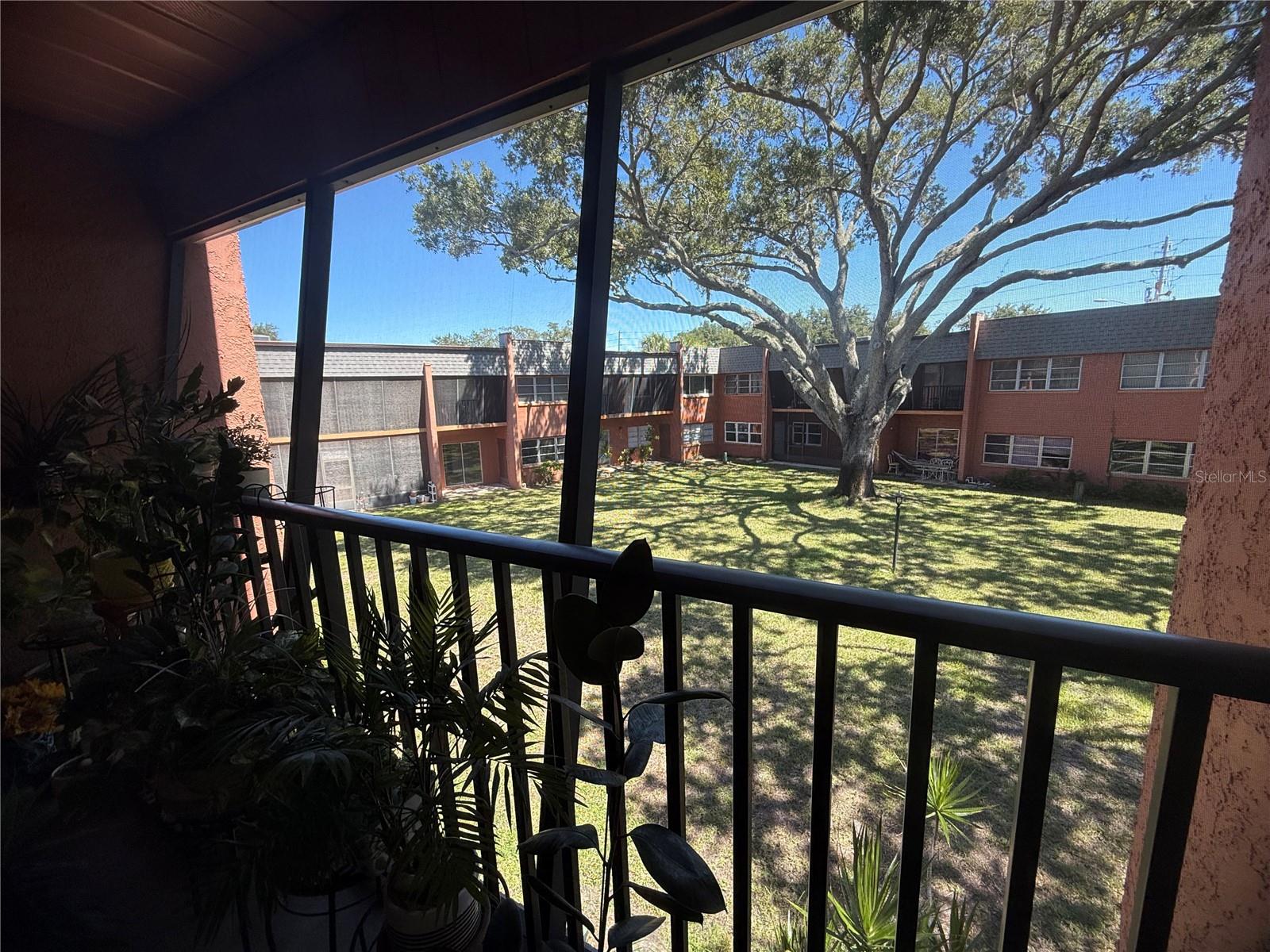4805 ALT 19, #422, Palm Harbor, FL 34683