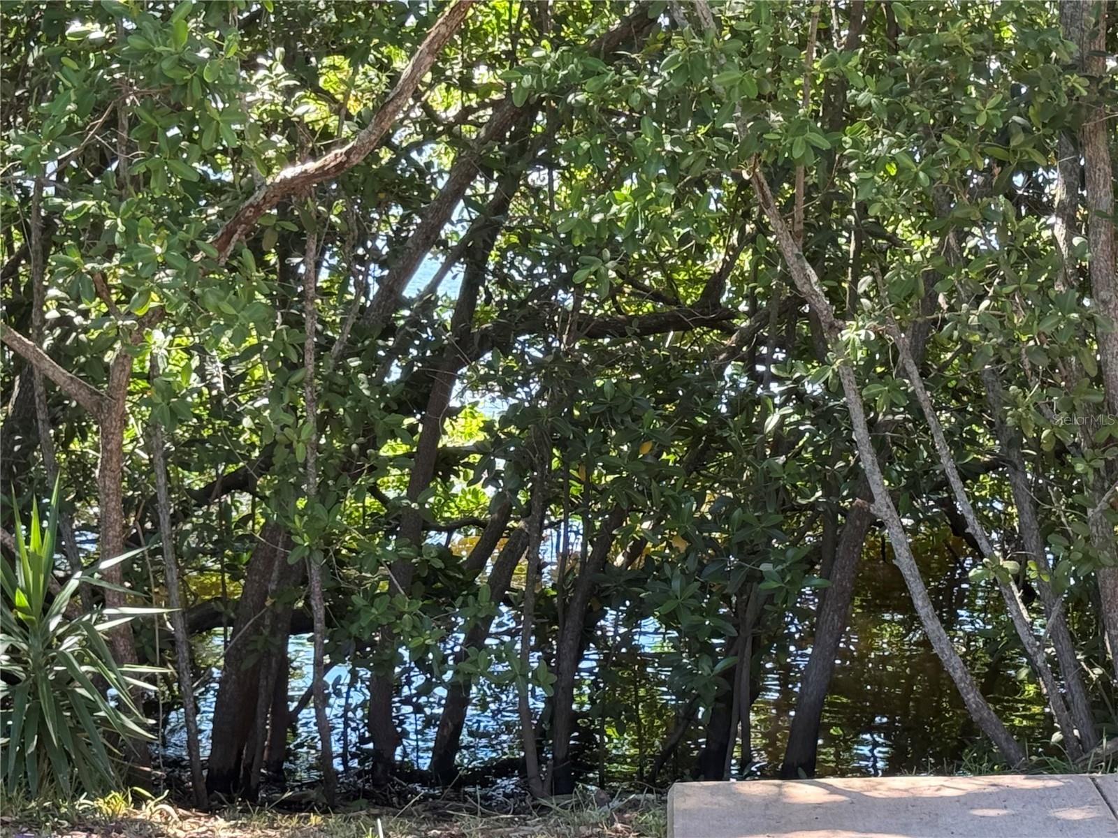 4805 ALT 19, #422, Palm Harbor, FL 34683