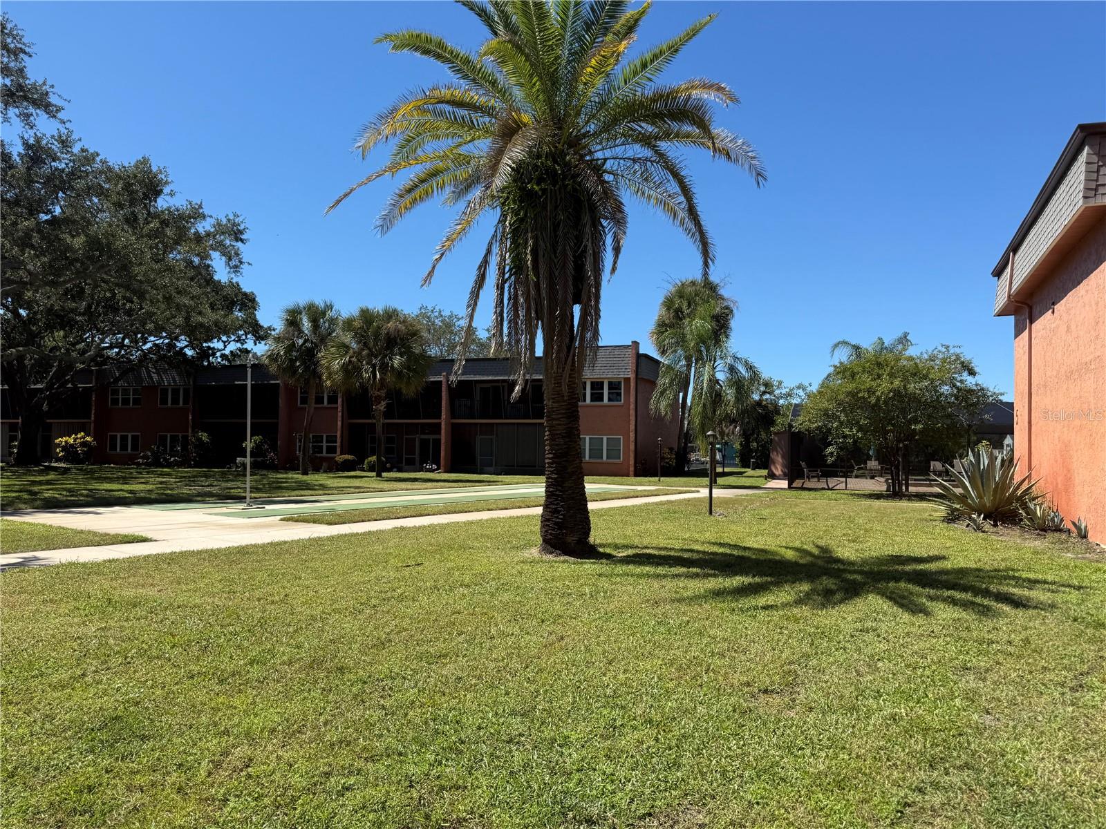 4805 ALT 19, #422, Palm Harbor, FL 34683
