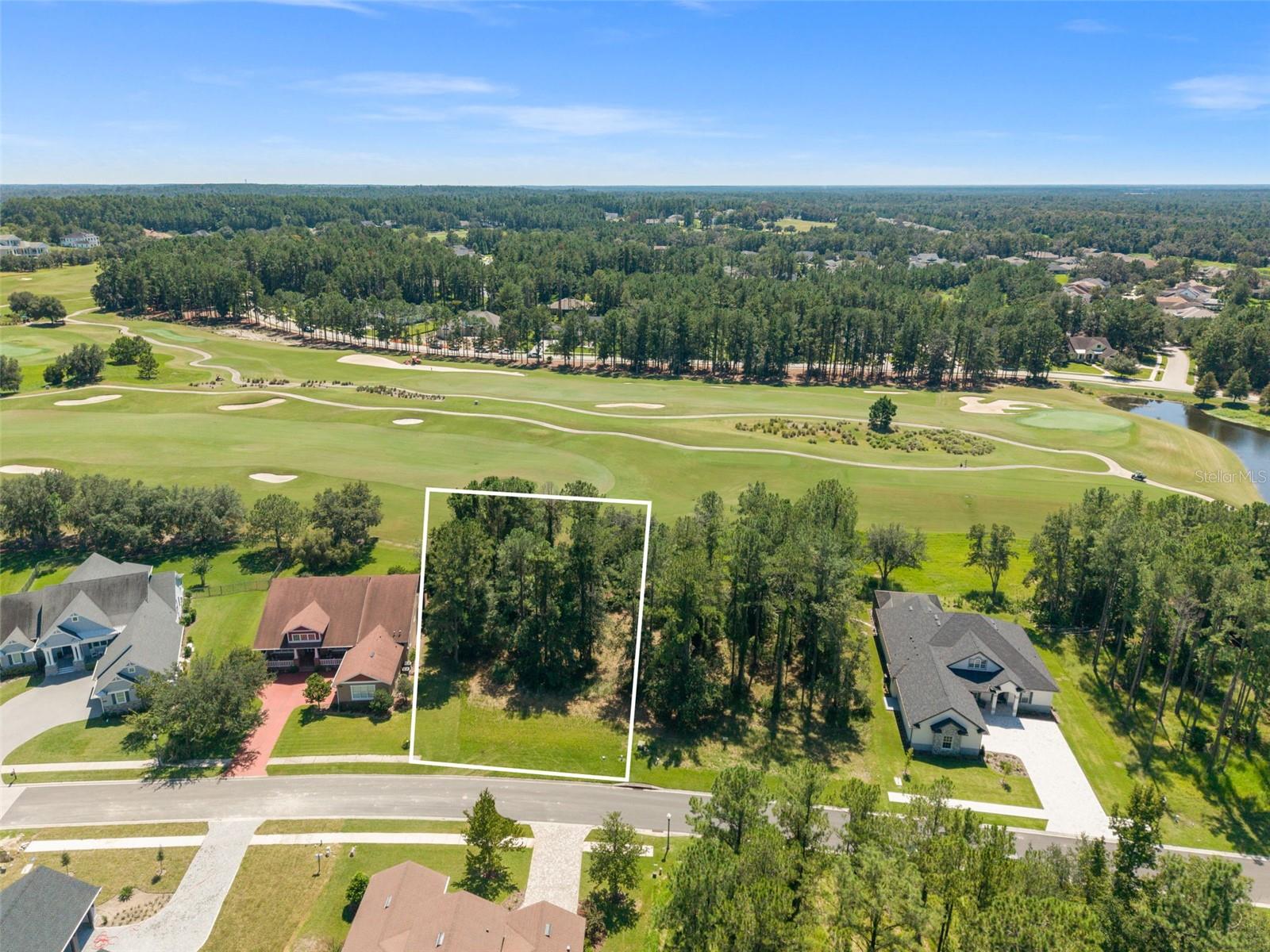 19594 STERLING BLUFF WAY, Brooksville, FL 34601