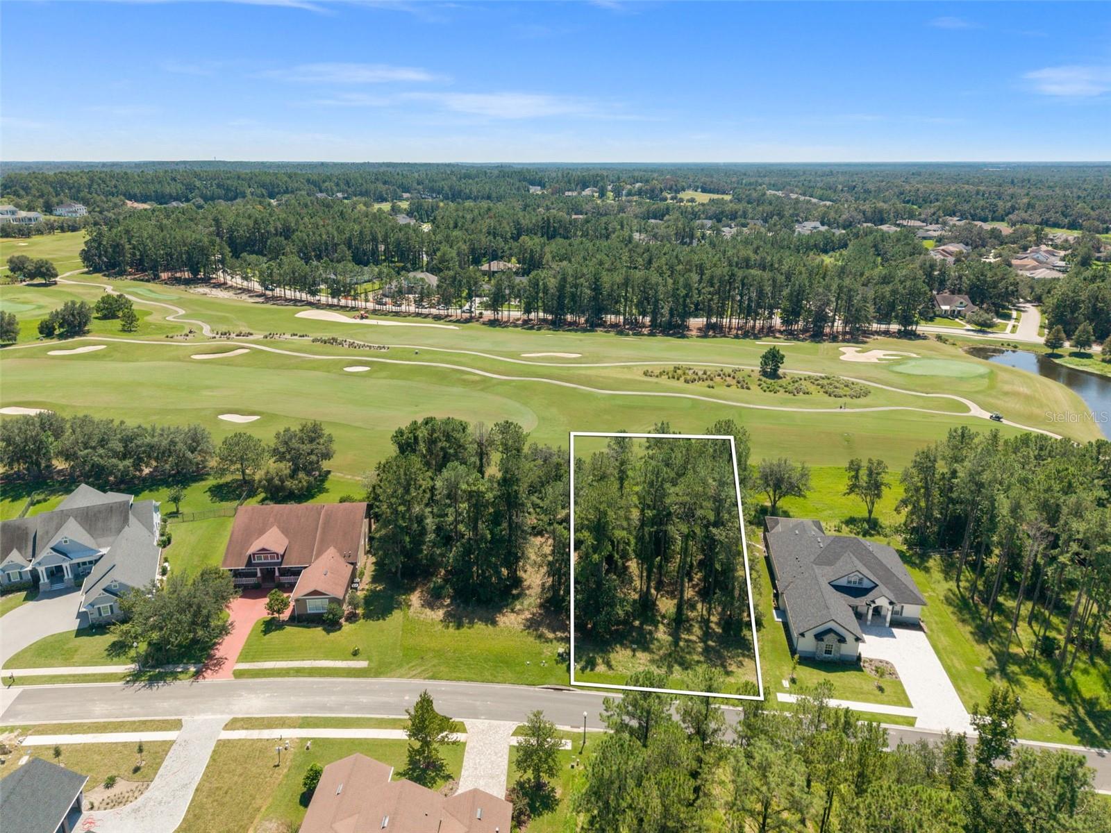 19594 STERLING BLUFF WAY, Brooksville, FL 34601