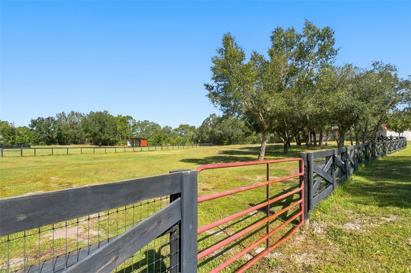 4 PASTURES