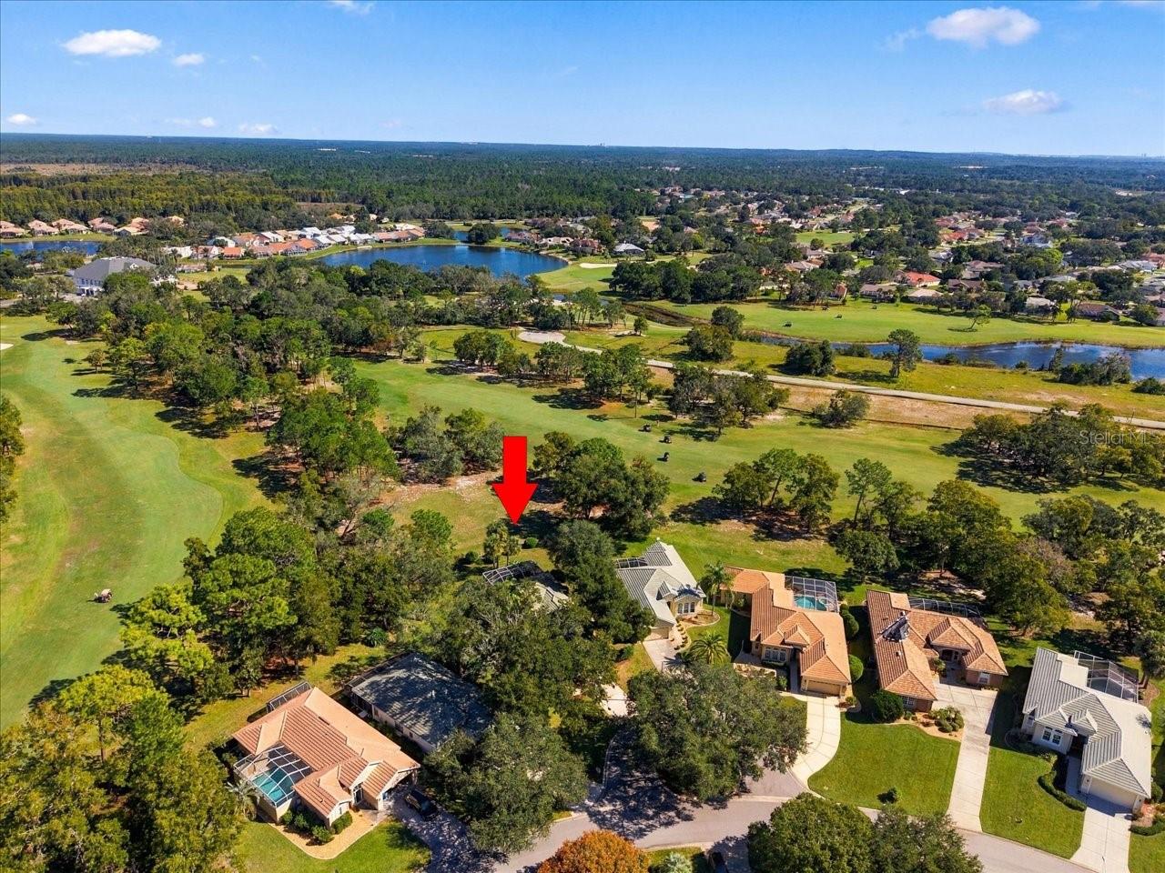 9033 PENELOPE DRIVE, Weeki Wachee, FL 34613