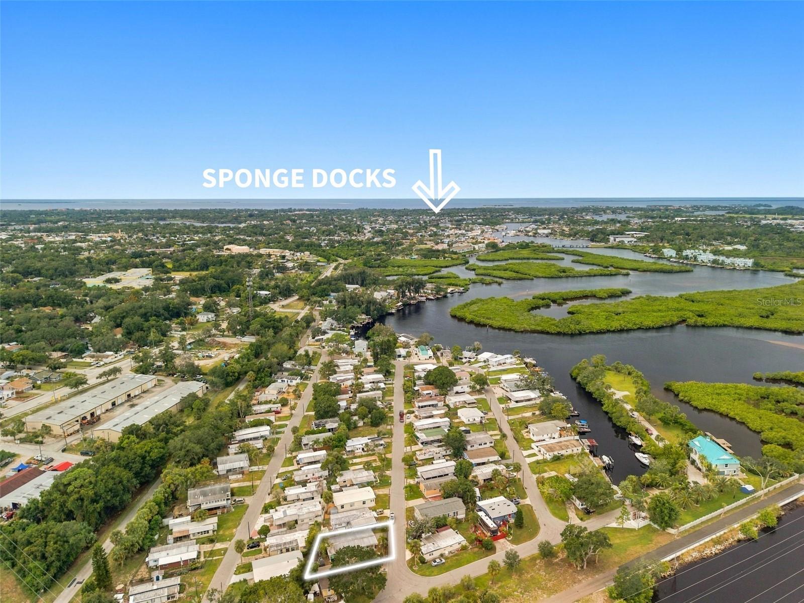 752 DRIFTWOOD LANE, Tarpon Springs, FL 34689