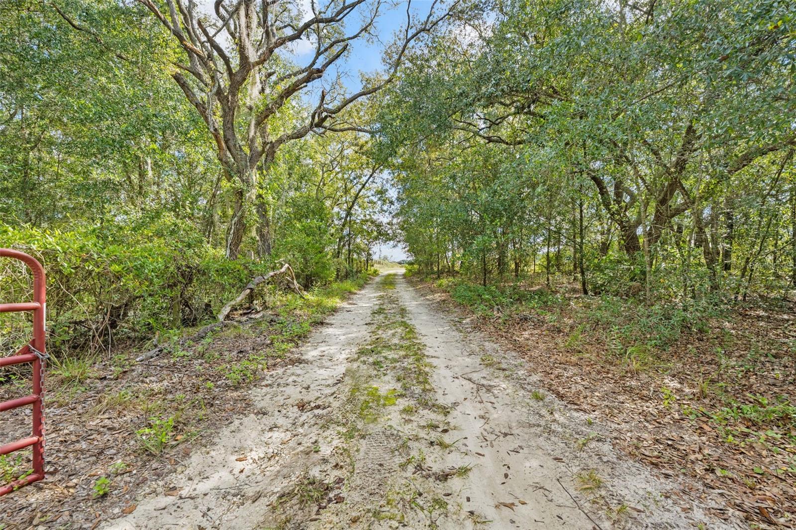 6101 S NUTSHELL TERRACE, Lecanto, FL 34461