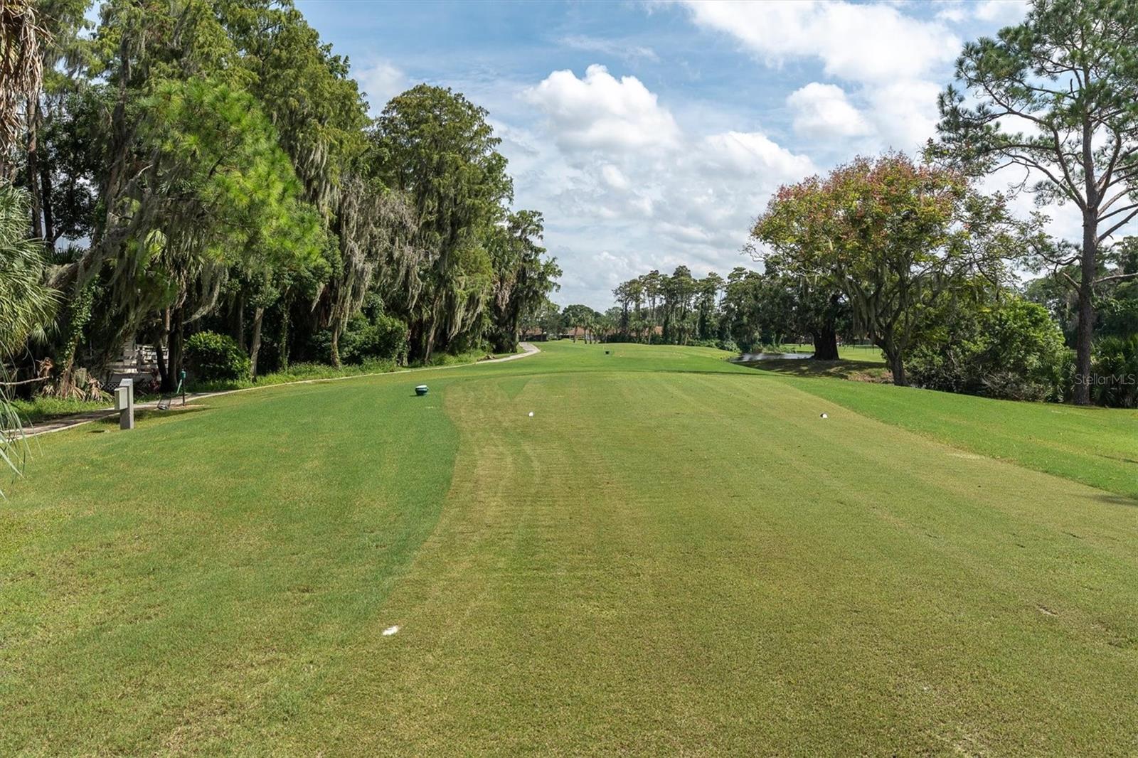 golf hole in your backyard