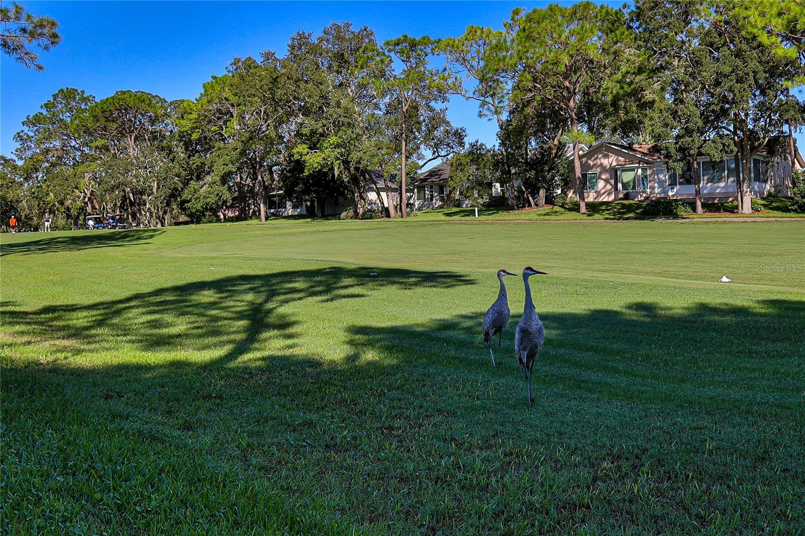 7103 CROWN OAKS DRIVE, Spring Hill, FL 34606