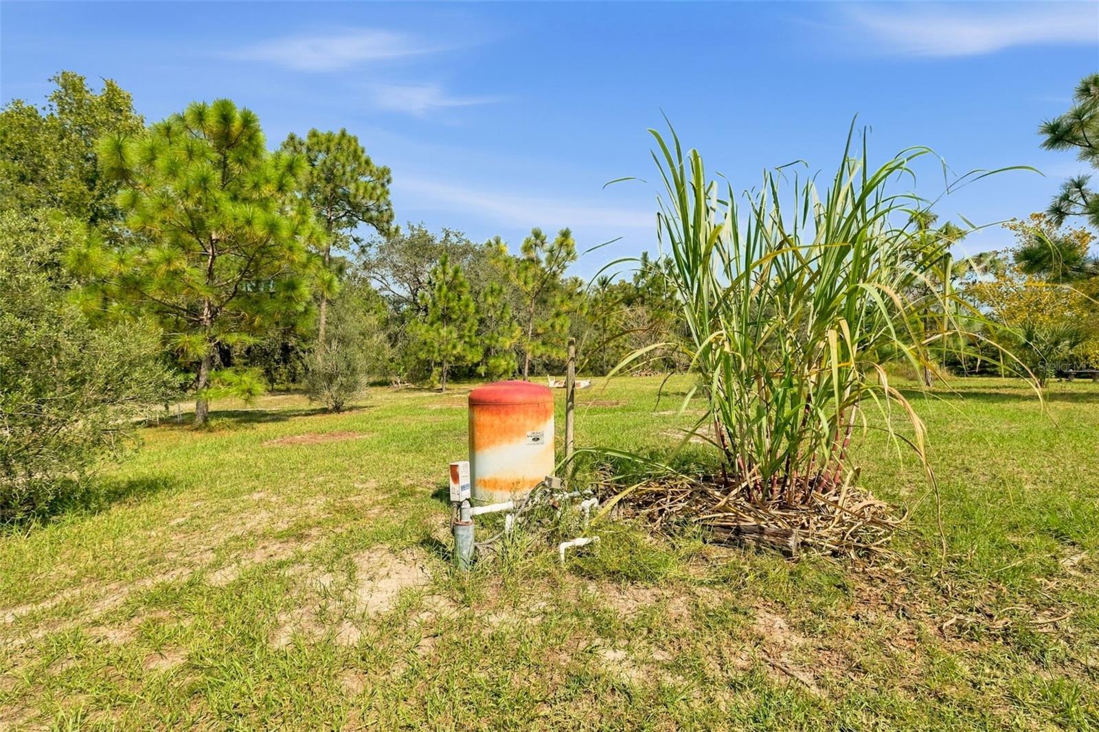 8743 OSTROM WAY, Weeki Wachee, FL 34613